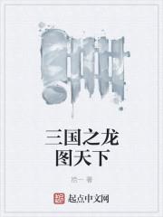三国之龙图天下