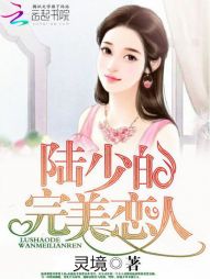 总裁抢婚:陆少的完美恋人