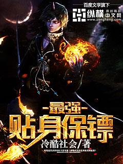 姐妹花的贴身保镖
