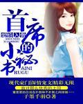 爱你入骨:首席的小秘书