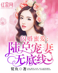 闪婚蜜爱:陆总宠妻无底线