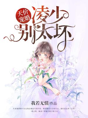 天价宠婚:凌少别太坏