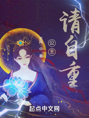 公主,请自重!