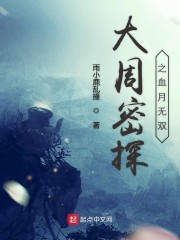 星空大盗匠